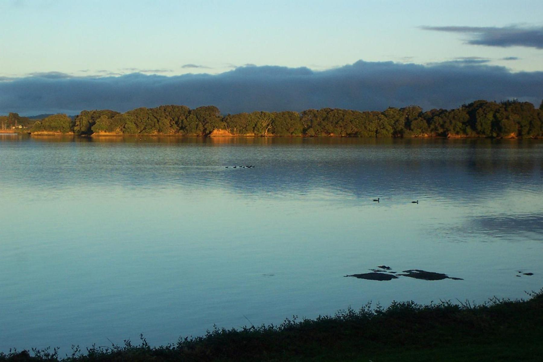 Absolute Waterfront Serenity Near Auckland Clarks Beach Exterior foto